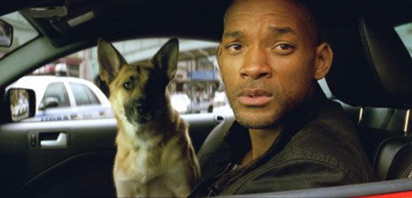 Sci-Fi-Sequel mit Will Smith soll noch kommen: Jetzt verspricht der Autor von I Am Legend 2, das größte Ärgernis nicht zu wiederholen
